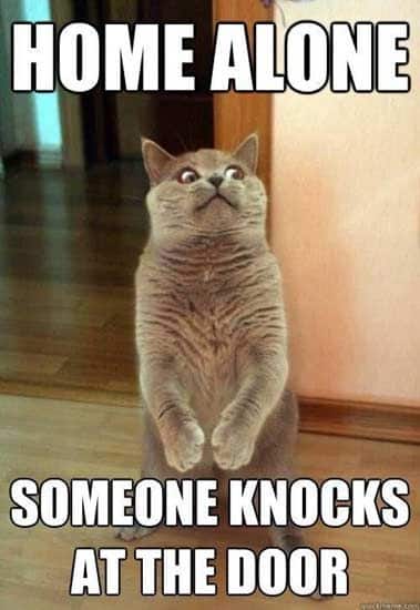 knocks on the door humor