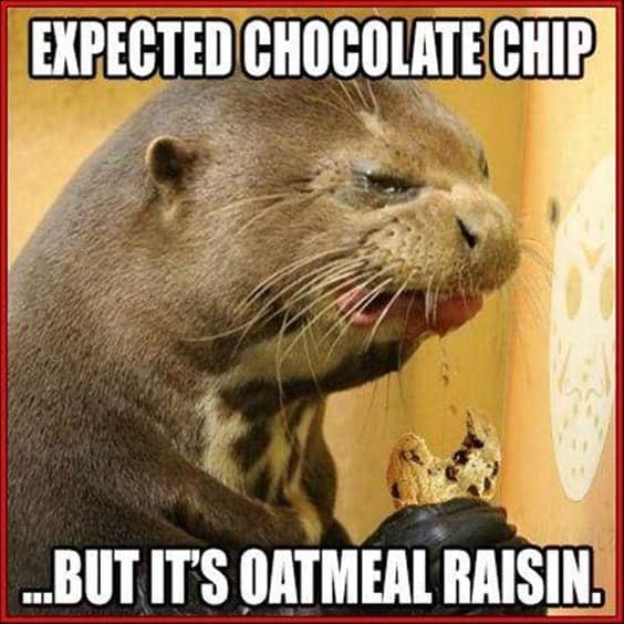 expected chocolate chip but it's oatmeal raisin