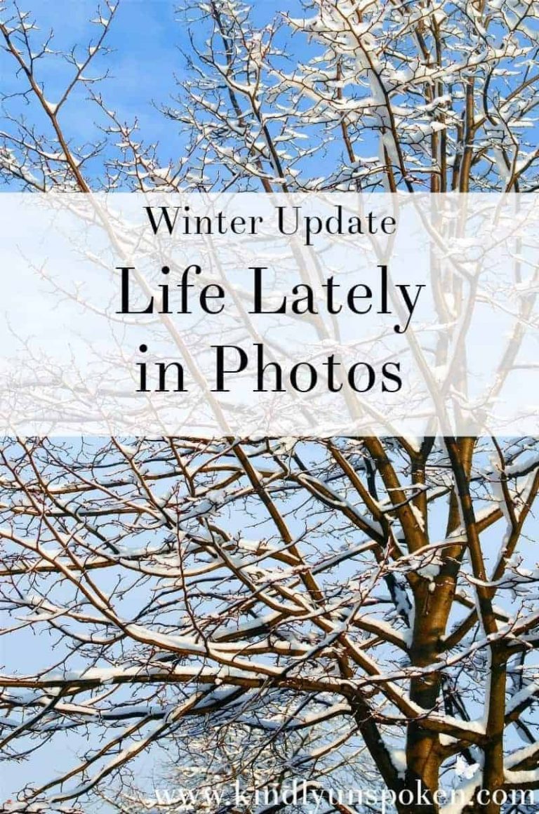 Life Lately in Photos- Winter Update