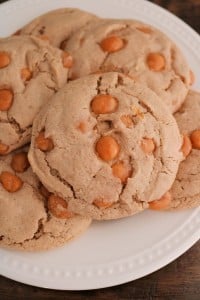 Easy Caramel Spice Cake Mix Cookies (4 Ingredients)